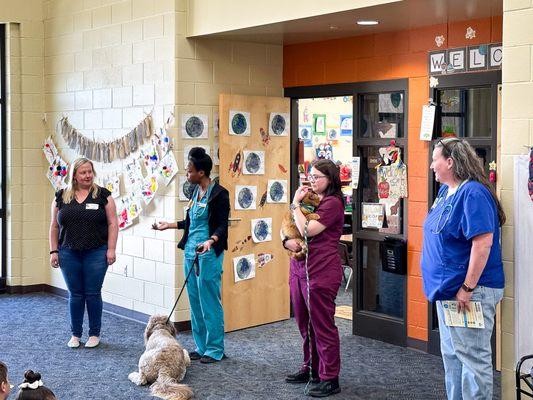 Heritage Plaza Animal Hospital