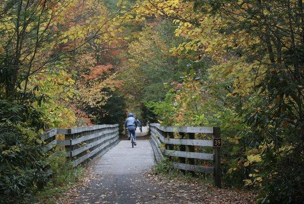Creeper Trail Bike Rental & Shuttle Service