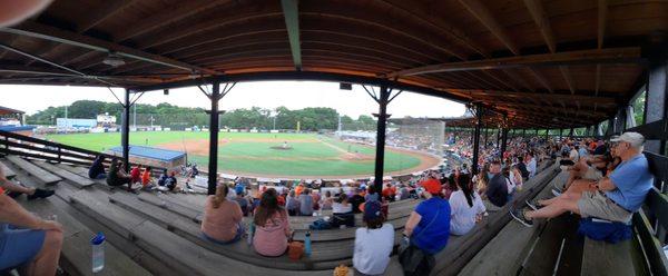 Peninsula Pilots Baseball