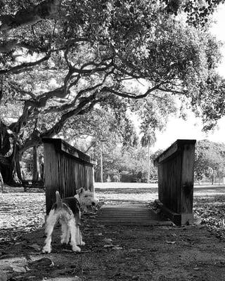 Photography is one of my passions.