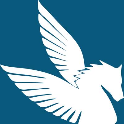 Pegasus Airport Limousine