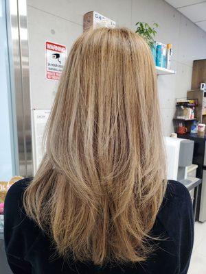 Color and cut by juni