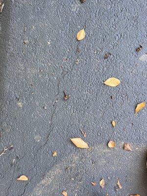Sealcoating cracks