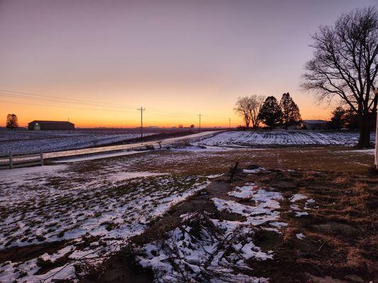 Homestead Holistics Alley