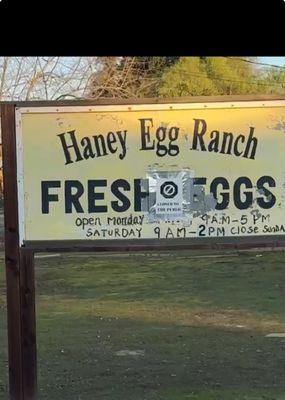 Haney Egg Ranch