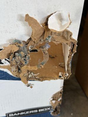 StorQuest Self Storage