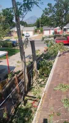 Sawyer's Tree Service