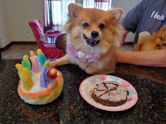 Suzie living the dream.