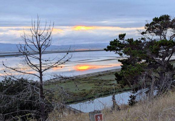 Don Edwards San Francisco Bay National Wildlife Refuge