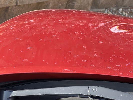 High Tide Wash & Detail