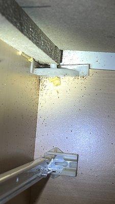 1st Choice Pest Control