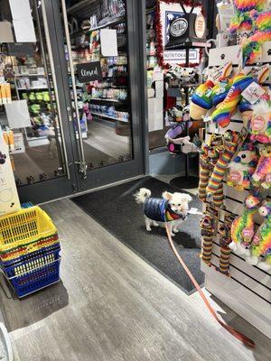 My dog loves The Pet Market!