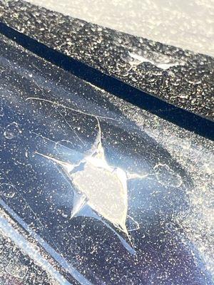 Herman's Auto Body Shop