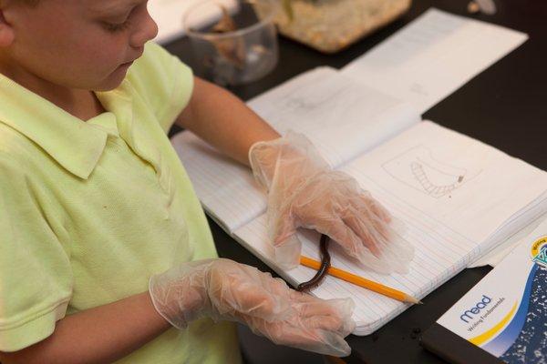 Creepy crawlies are cool!