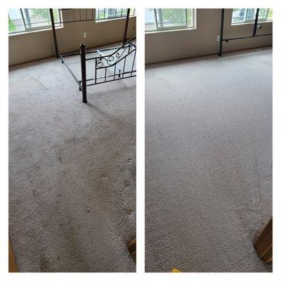 Top Notch Carpet Cleaning