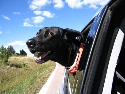 We'll retrieve the best rate for you!