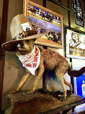 Taxidermy with cowboy flair