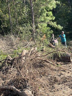 Muñoz Landscaping Solutions