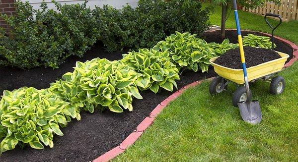 Wilson's Lawn Care