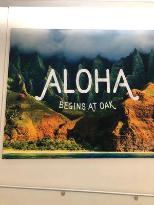 Aloha Transportation