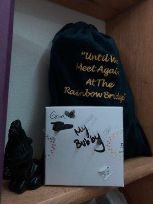 Grim's ashes remain in this bag (given by the company) on my altar.