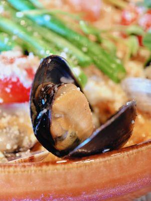 Woven Seafood & Chophouse