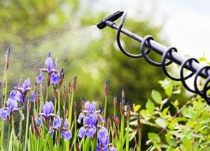 Green Country Weed and Pest