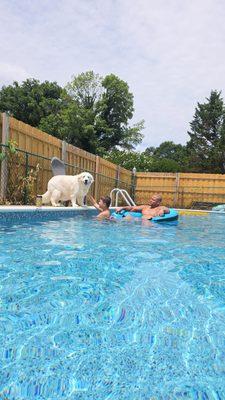 Matt's Pool Service & Repair