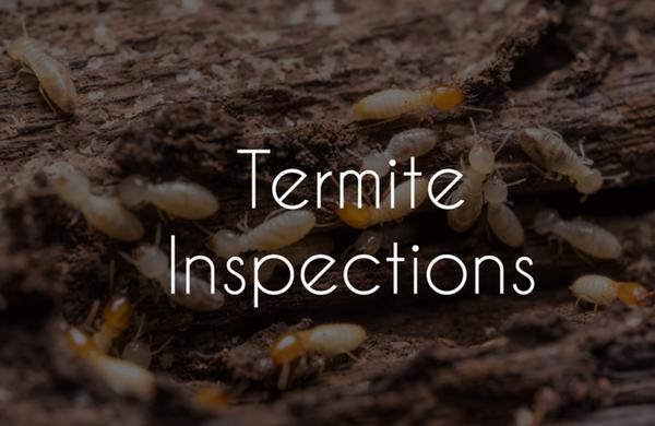 Always Dependable Exterminating