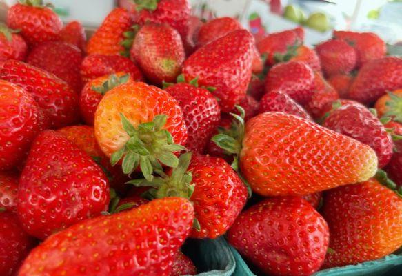 Skagit Grown Strawberries- Seascape Variety now available!