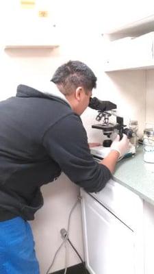 One of our Medical Assistant students working in the lab.