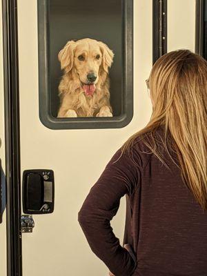 Painted on RV dog. I named him cruiser