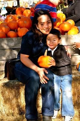 Pumpkin Patch