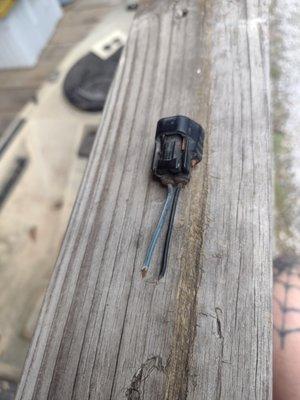 Low pressure switch wires that's been cut.