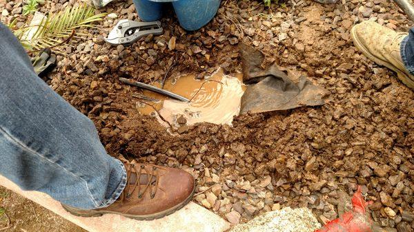 One of a couple of leaks caused by the tree pulls - might be able to be helped but, it's part of the unspoken job I guess...