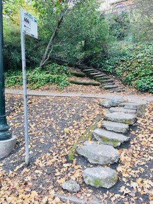 South Entrance on Mandana (Lakeshore)