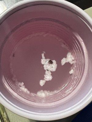 Happy Scrappy Mobile Pet Grooming