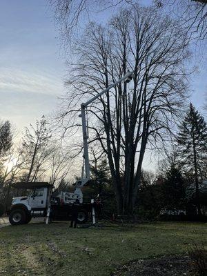 EC Tree Cutting Service