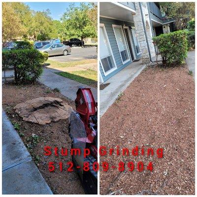 Stump Grinding