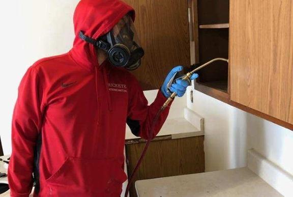 Buckeye Exterminating