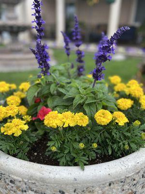 International Plant Growers