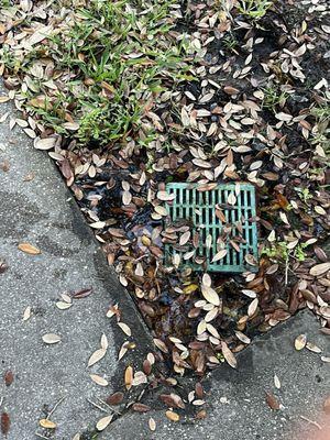 Bridgewater Luxury Rentals