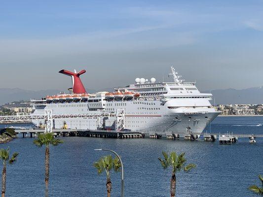 Cruise Ship Accidents