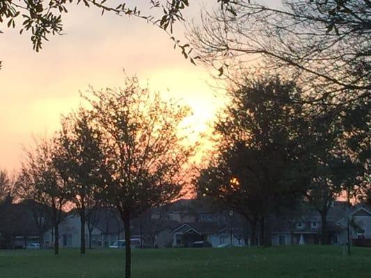 Sunrise at Walnut Park Monday, March 02, 2015