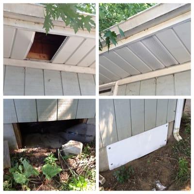 Wildlife Damage Repairs