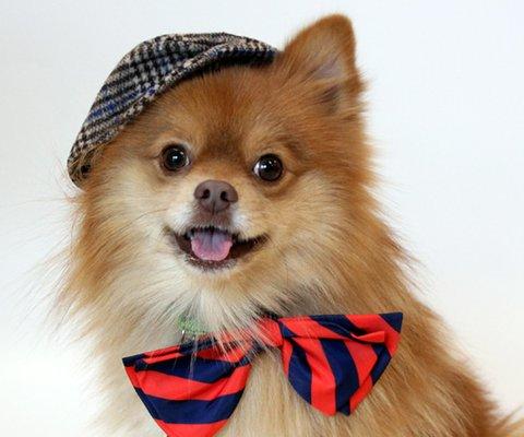 Catwalk Boutique - Lenox