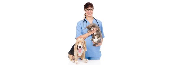 Western Hills Veterinary Clinic  Pa