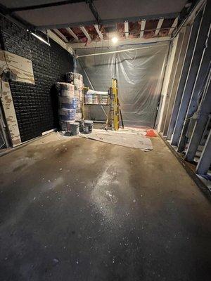 Mold remediation and removal.