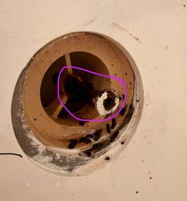 Biven's Drain Cleaning & Service