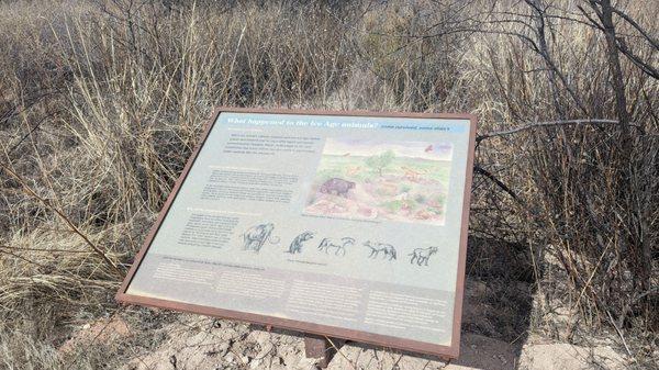 Murray Springs Clovis Site